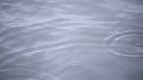 a slow motion of rain drop in the water the pond rainy day closeup