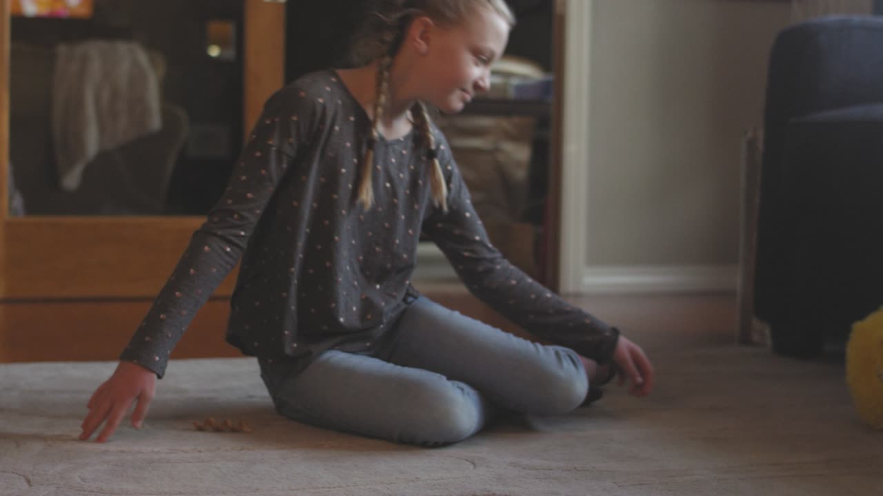 un adorable cachorro jugando con su juguete mientras su joven dueño mira