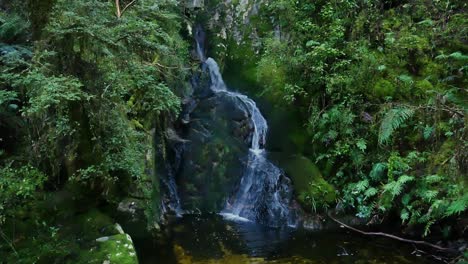 inclinación hacia abajo de la cascada tropical que fluye por las montañas plantadas en nueva zelanda, que desemboca en un lago natural