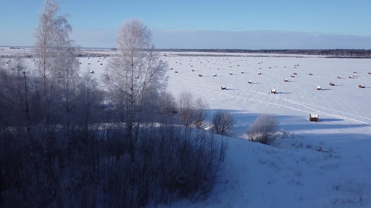 겨울 북부 유럽의 계절 숲은 서리가 내리쬐는 일광 공중 전망으로 덮여 있습니다.