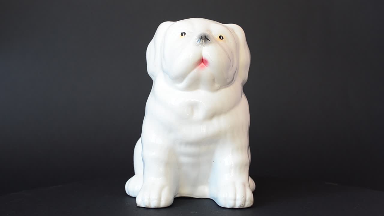 Optagelse af en bulldog. Optagelse af en figur