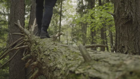 a person balancing across a log in the forest in slow motion