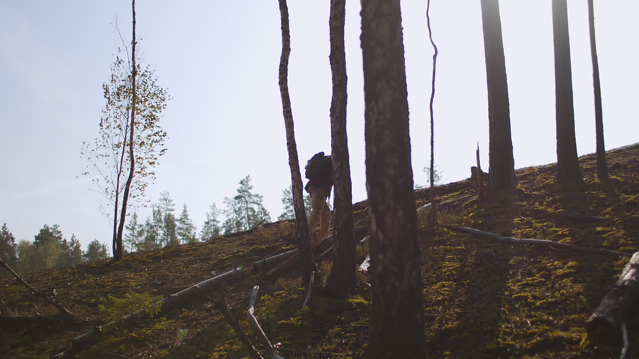 un viajero cansado se eleva en la cima de una colina en el bosque en un soleado día de otoño llevando una silueta humana de mochila entre los árboles