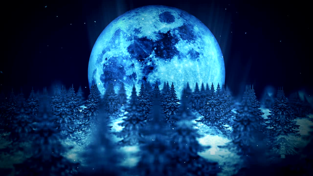 Forest landscape illustration, Abstract nature background, Loop animation,