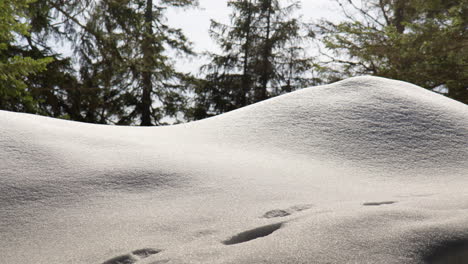 foot marks on the snow piled over mountain hikes. close-up shot