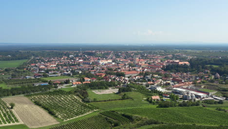 Pintoresca-Ciudad-De-Valtice-En-La-Región-Vinícola-De-Moravia-Con-Viñedos,-Drones