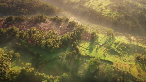 vista aérea del pueblo balinés brumoso con campos de arroz y niebla matutina en ubud, bali, indonesia