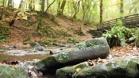 wooden bridge crossing natural flowing rock stream in autumn forest woodland wilderness dolly right