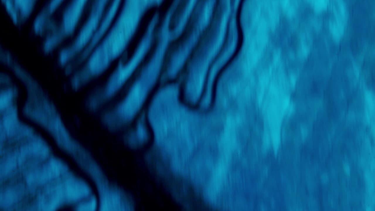 Cellule organiche blu microscopiche in movimento e modelli astratti