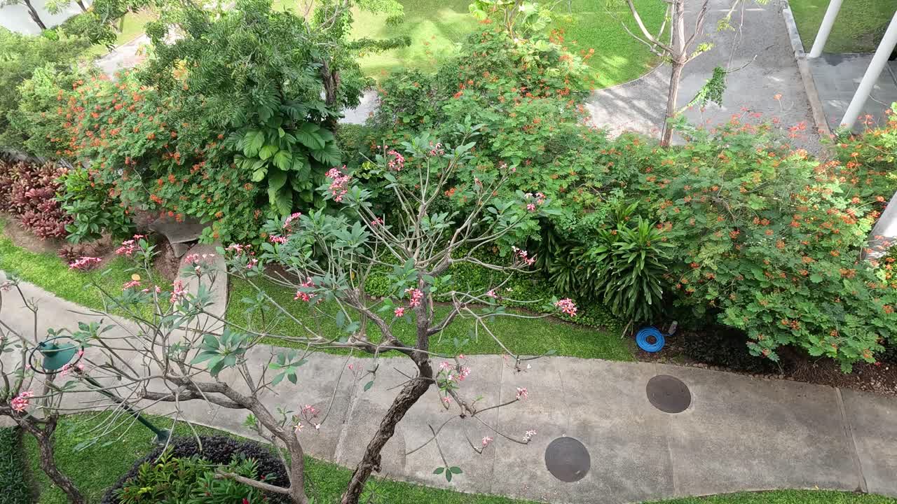 lapso de tiempo del crecimiento del jardín y los cambios estacionales