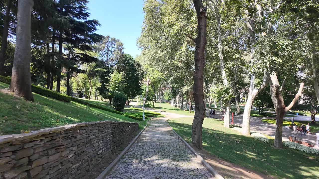 A serene park path on a sunny day