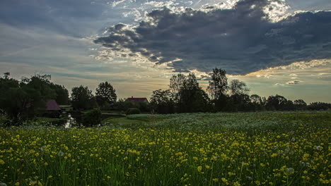 Statische-Aufnahme-Einer-Weißen-Wolkenbewegung-Im-Zeitraffer-über-Einem-Teich,-Der-Während-Der-Abendzeit-Von-Wilden-Weißen-Und-Gelben-Blumen-Umgeben-Ist