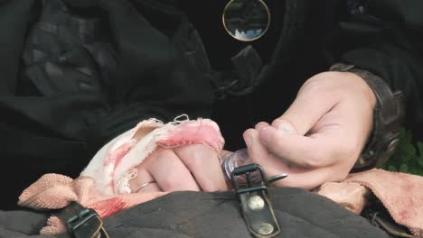 escena larp: un clérigo sanador tomando una poción de un tubo con una jeringa, para curar a un camarada herido