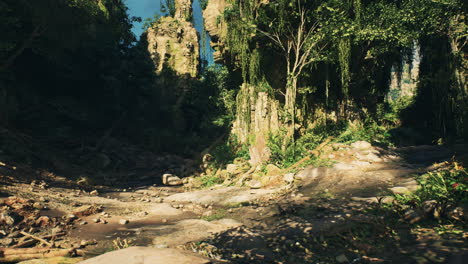 una selva tropical exuberante y vibrante con un camino que conduce a través de ella