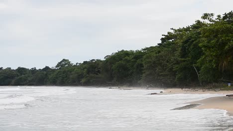 the caribbean coastline near puerto viejo, costa rica