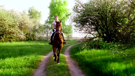 spring, outdoors, girl rider, jockey riding on thoroughbred beautiful brown stallion, through old blossoming apple orchard. horse running in blooming garden. stedicam shot