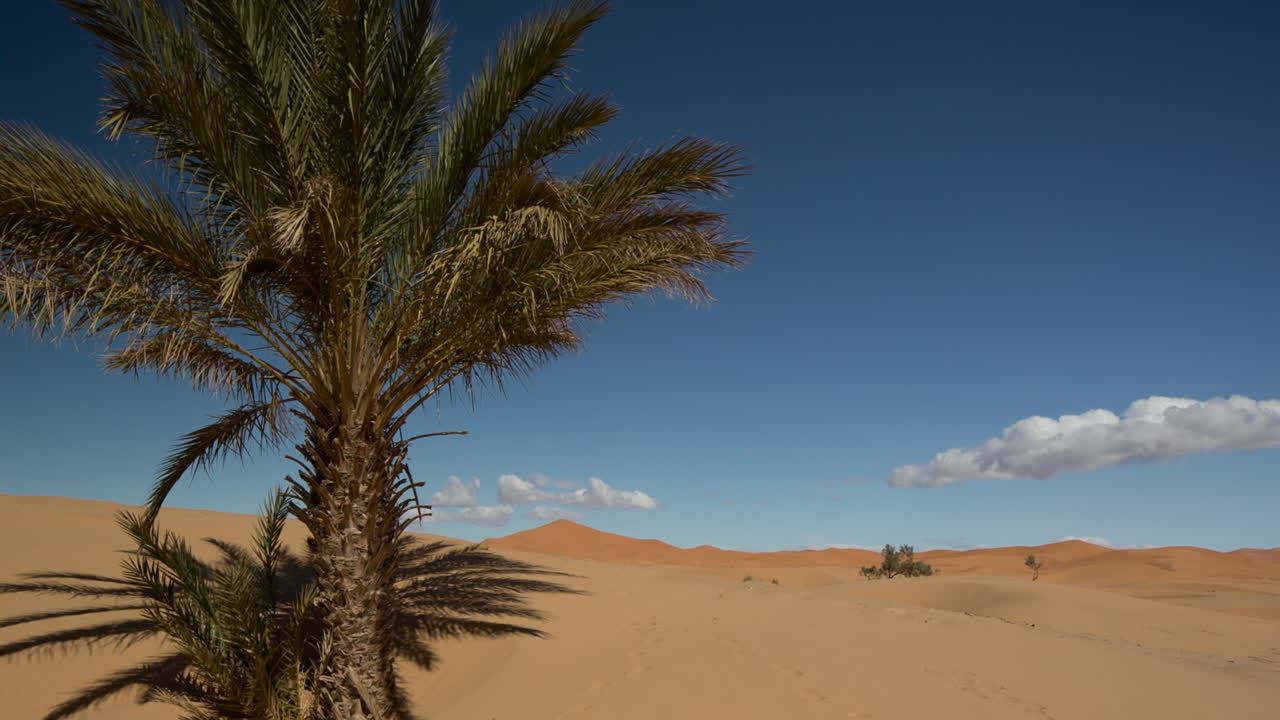 Merzouga Deserto do Saara 06