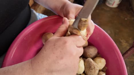 woman peeling potatoes in a pink bowl