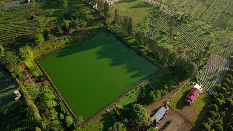 Lago-Artificial-Como-Suministro-De-Agua-Para-La-Agricultura-En-Medio-De-Plantaciones-De-Tabaco-Y-árboles