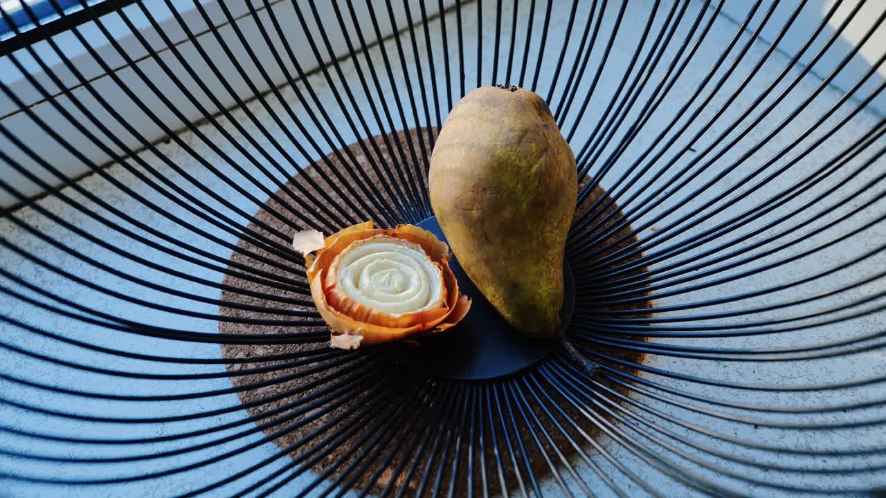 Organic shapes and textures highlighted in still life close-up from above