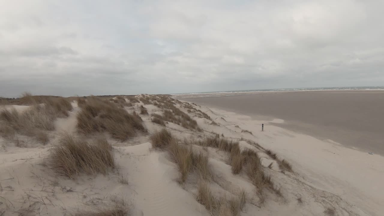 dunas de hierba en alta mar en la playa de la isla de texel en holanda del norte, países bajos