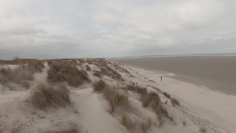 Dunas-De-Hierba-En-Alta-Mar-En-La-Playa-De-La-Isla-De-Texel-En-Holanda-Del-Norte,-Países-Bajos