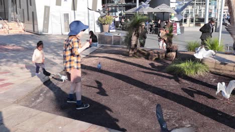 a child joyfully chases pigeons in a plaza