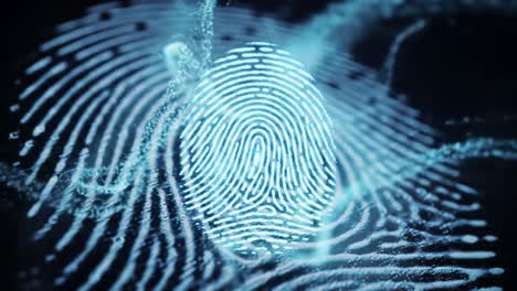 innovative technology highlights the details of fingerprint recognition. the process features intricate patterns and is a vital tool for enhancing security in various applications.