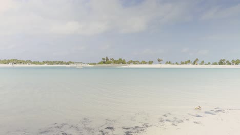 a peaceful tropical beach with clear shallow water, palm trees in the distance, and a small bird near the shore under a partly cloudy sky.