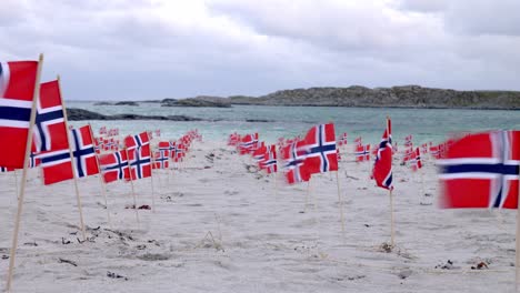 many rows of norway flags blowing on windy sandy beach coastline