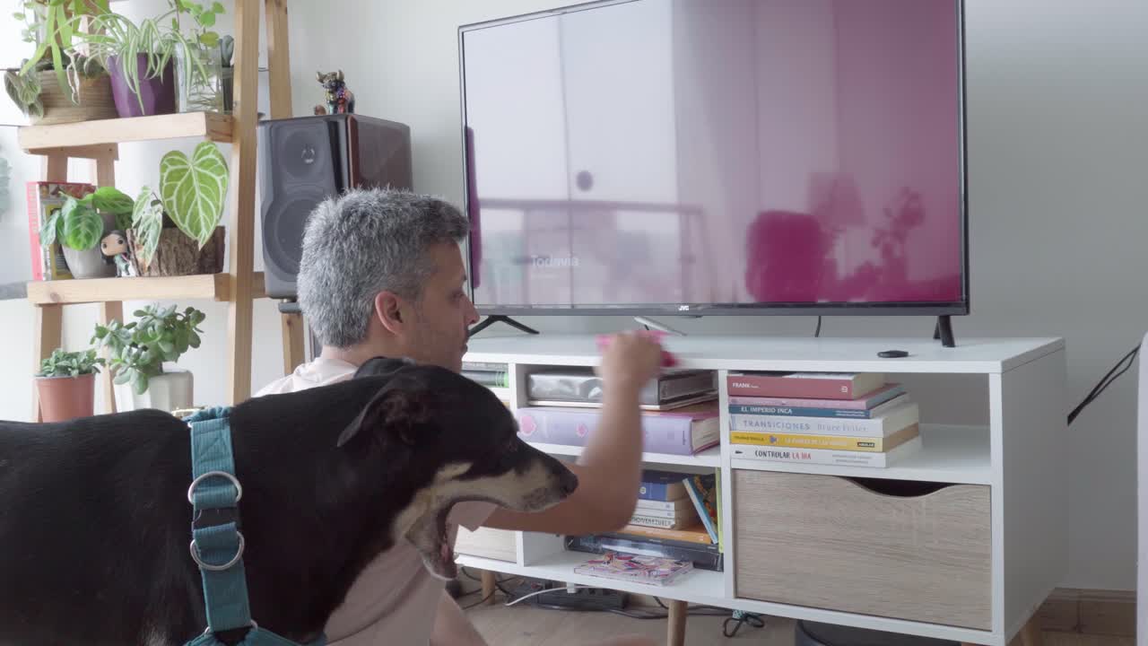 Man Cleaning TV Stand and Organizing Books with Dog Nearby