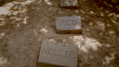 old pet cemetery graveyard for dogs