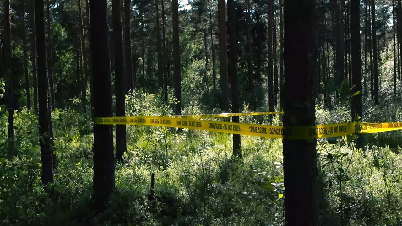 Spookie and eerie footage of yellow colored Crime Scene Do Not Enter tape pulled around some trees to separate a investigation crime area at a sunny but dark forest with no people around.