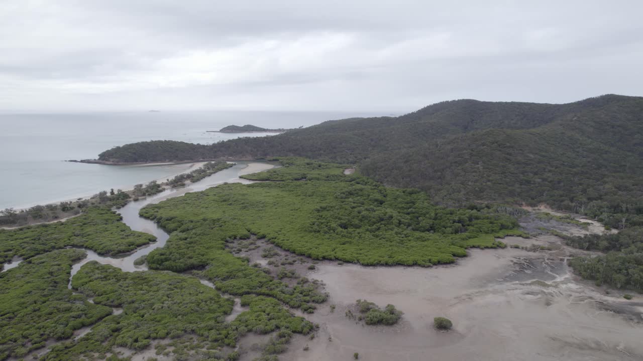 gran keppel island leeke creek y pantanos a la luz del día en yeppoon, queensland, australia