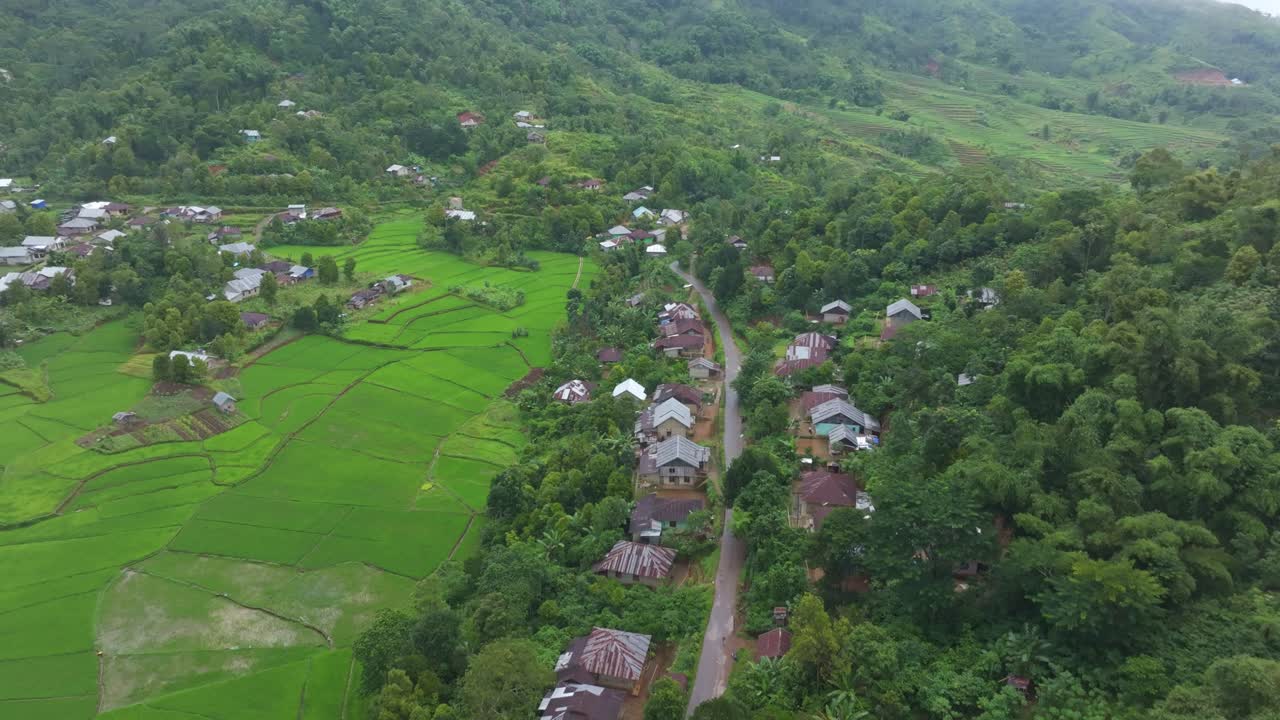 Terasering sawah berbentuk jaring laba-laba Ruteng dan sawah hijau, Flores, Indonesia