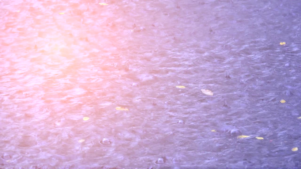 도시의 거리에서 비가 내리고 홍수가 아지고 있습니다.