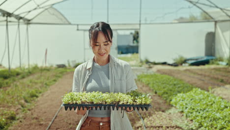 happy asian woman, plant and agriculture