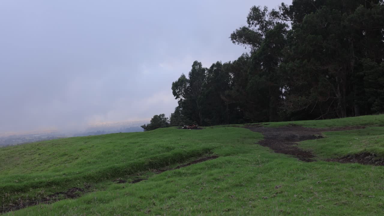 업컨트리 마우이의 쿨라 숲에 있는 폴리폴리 스프링 스테이트 레크레이션 지역을 덮는 해안 안개 지대