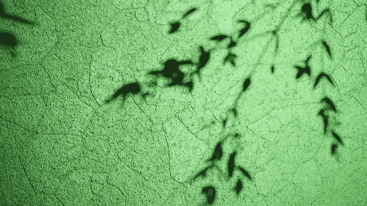 тени природы на зеленой текстурированной поверхности