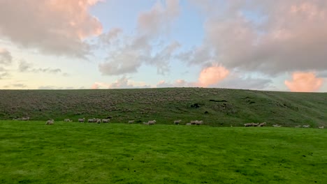 a serene sunset casts warm hues over lush green hills, capturing the tranquil beauty of the great ocean road landscape