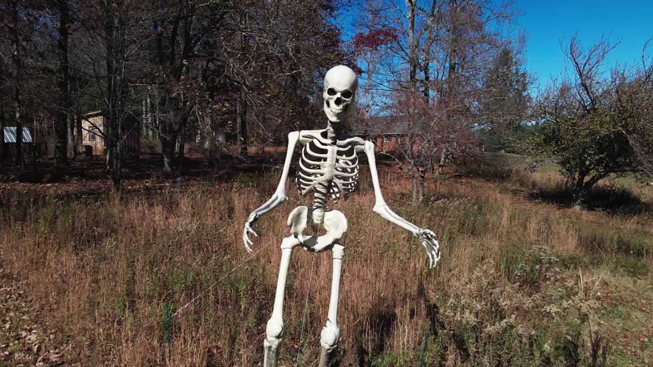 Video 4K di un drone che vola verso uno scheletro di 3,6 metri in un campo