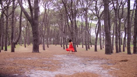 dancing in red in the beautiful pine forest of australia - wide shot