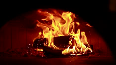 wood-fired oven with burning wood