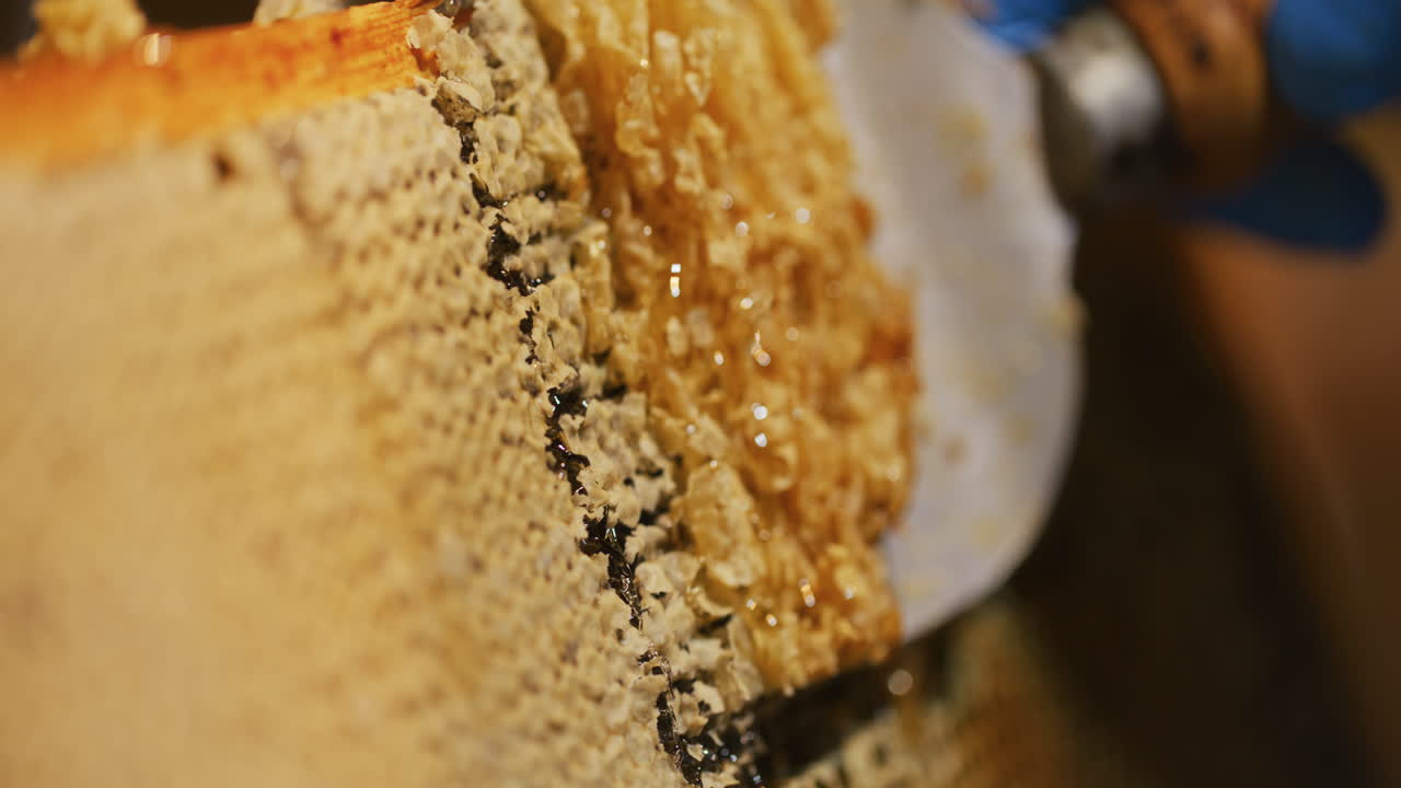 Un apicoltore rimuove la cera dal favo