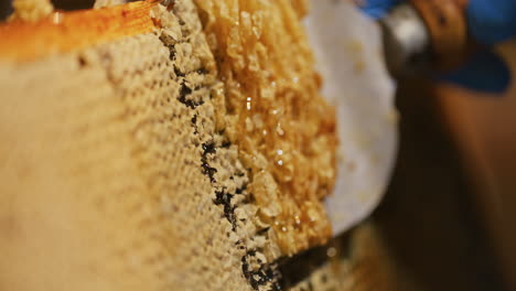 A-Beekeeper-Removes-Wax-from-Honeycomb