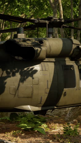 black hawk helicopter in a forest