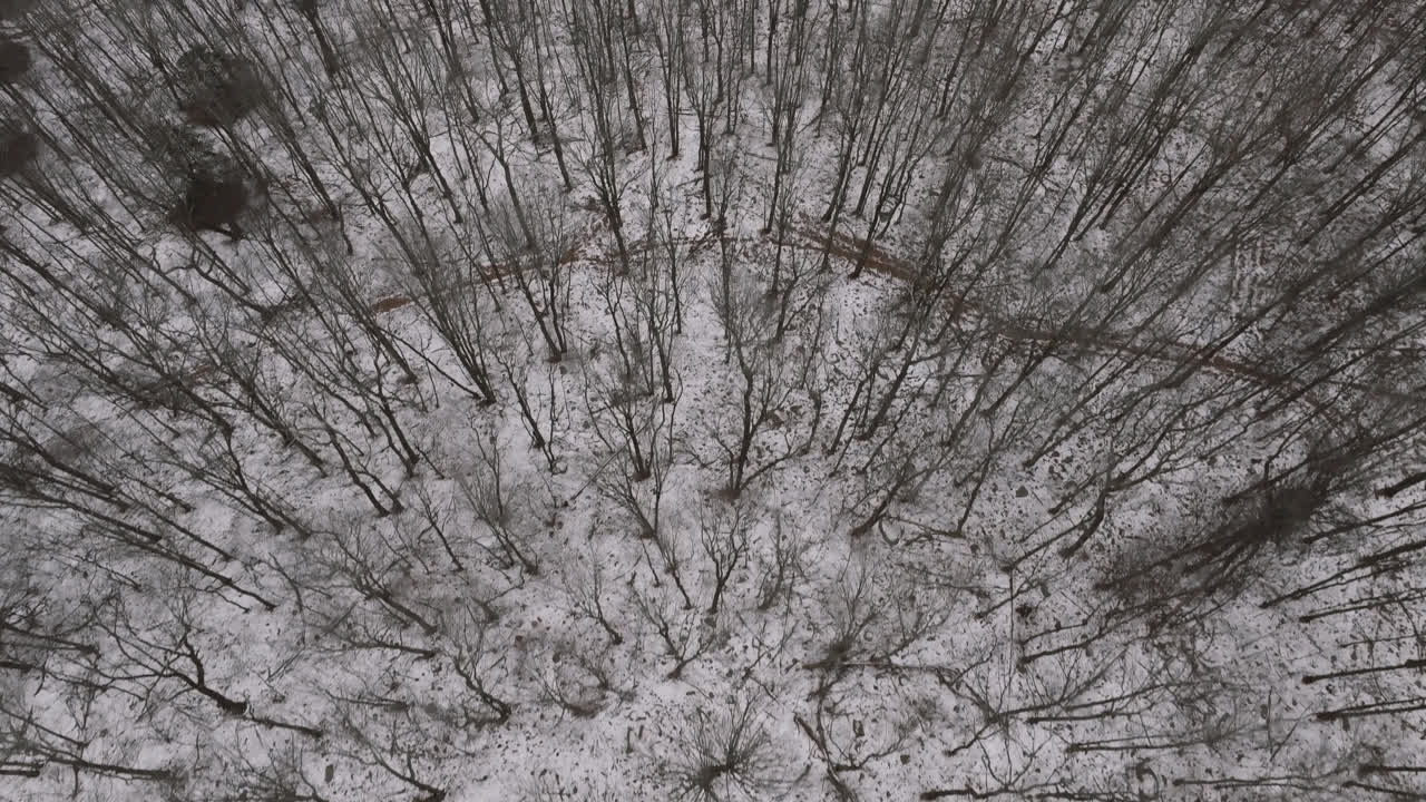 Vista aerea di una foresta innevata nella Pennsylvania rurale. Scattata in una mattina d'inverno