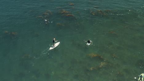 paddelboarder, surfer und froschmann vor der küste von surfrider beach in malibu, kalifornien