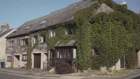 beautiful view of a big house in cambridge street with a dense green climbing plant on the wall