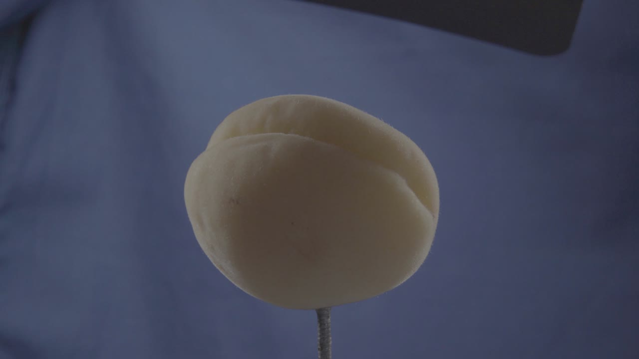 albaricoque girando con bucle en pantalla azul para la llave de croma